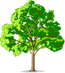 AAA Tree Service - Tree Removal